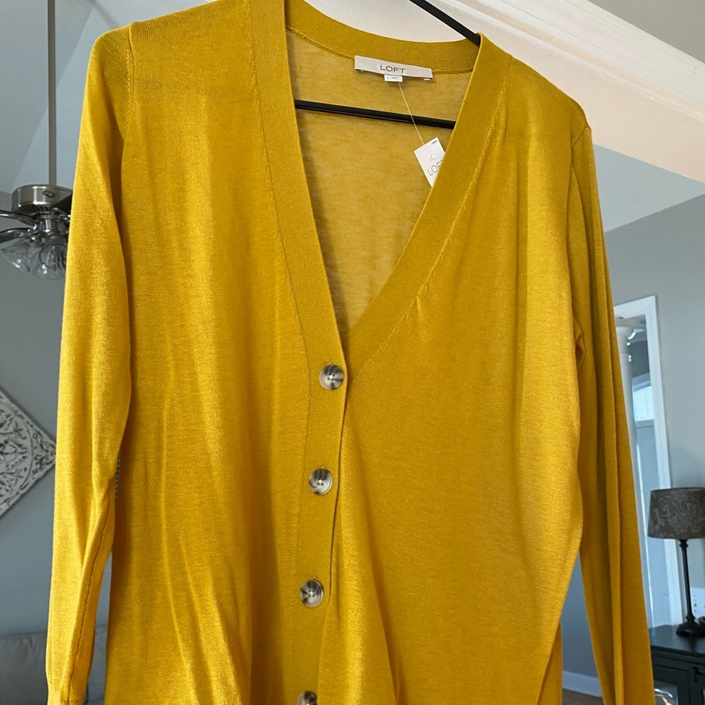 Loft NWT sweater